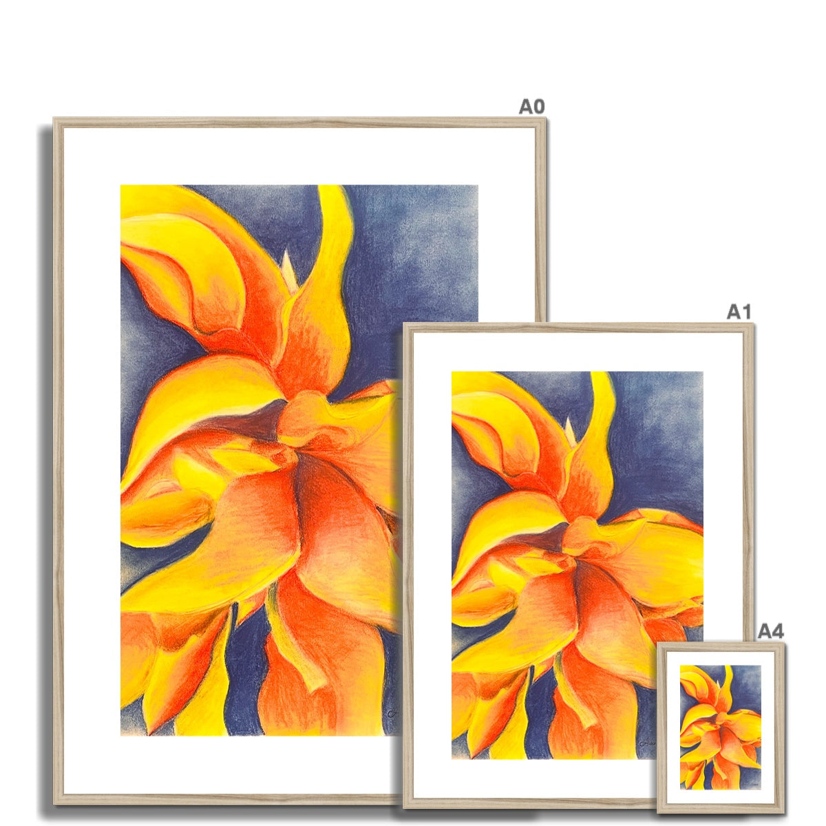 "Solar Flare" by Alanna Maskell Framed Print