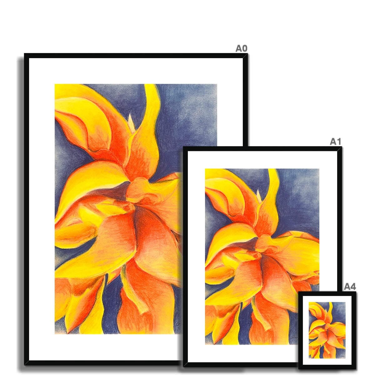 "Solar Flare" by Alanna Maskell Framed Print